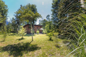 Cabañas Pucon Location